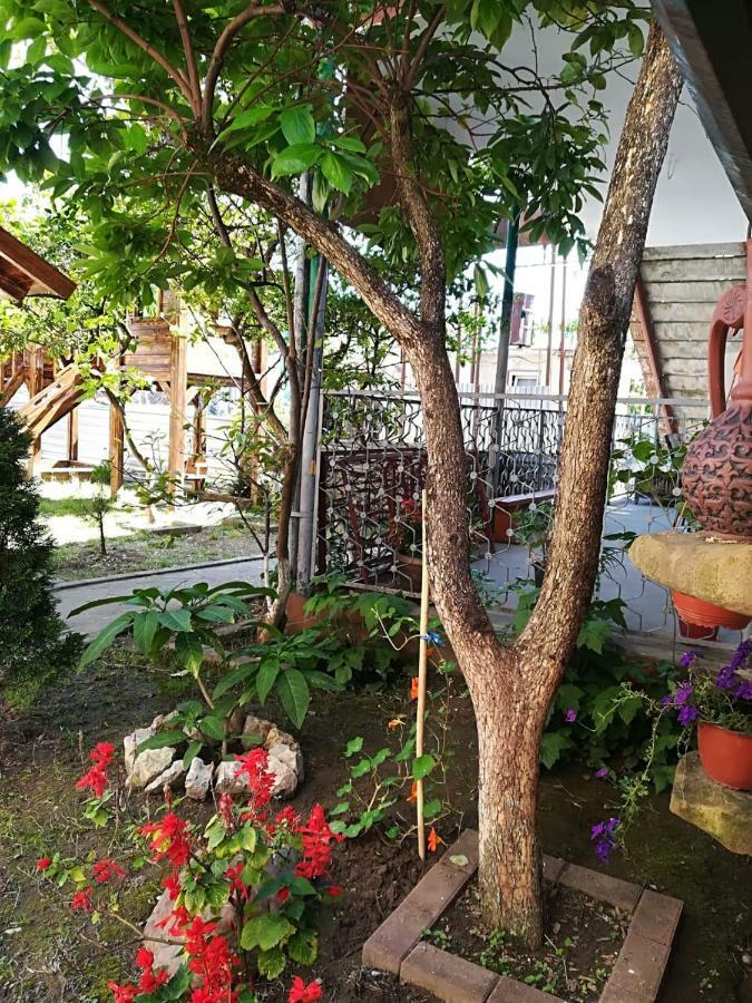 Runo Guest House Gagra Esterno foto